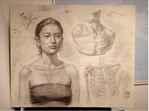 Studio di corpo umano