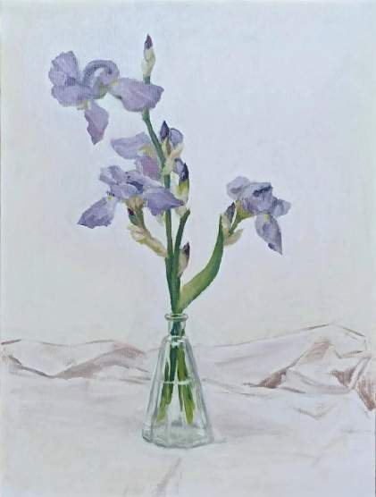 Iris Fiorentino