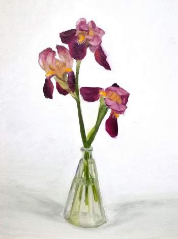 Iris di Calenzano